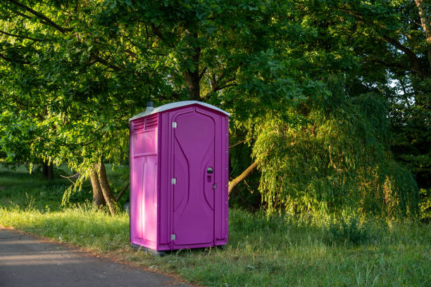 Portable Toilet Options We Offer in Panaca, NV